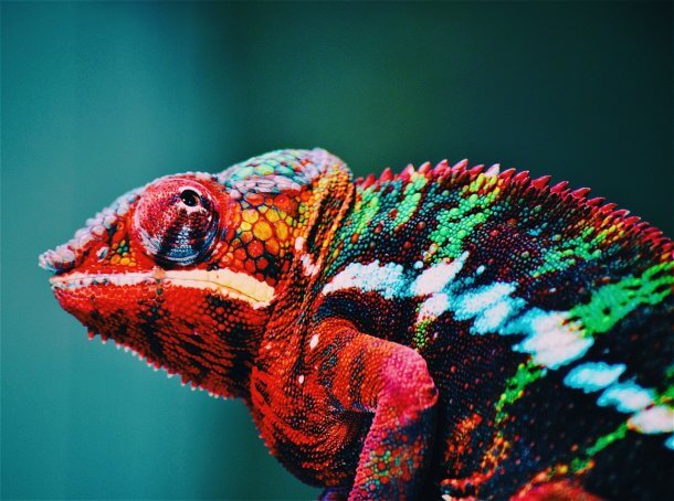 cmyk czy rgb cmyk czy rgb